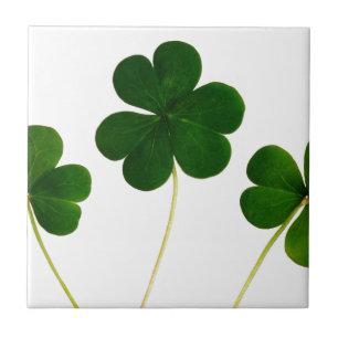 st patricks day clover shamrock tile