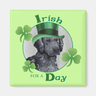 St. Patrick's Day Curly-Coated Retriever Magnet