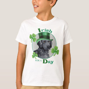 St. Patrick's Day Curly-Coated Retriever T-Shirt