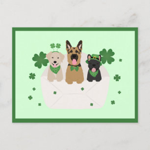 St Patricks Day Dog Mail Postcard