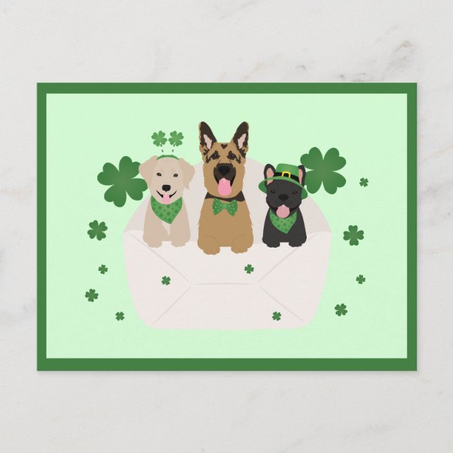 St Patricks Day Dog Mail Postcard (Front)