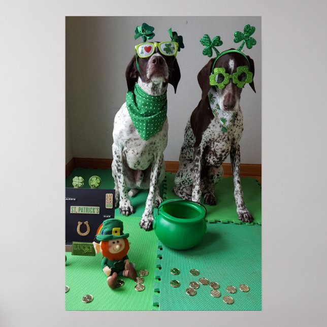 St. Patrick's Day Dogs Party Value Poster (Front)