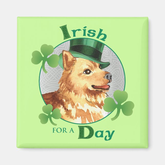 St. Patrick's Day Finnish Spitz Magnet (Front)