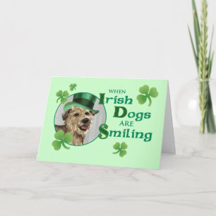 St. Patrick's Day Glen of Imaal Terrier Card