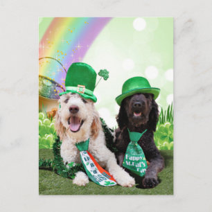 St Patricks Day - GoldenDoodles - Sadie and Izzie Postcard