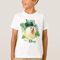 St. Patrick's Day Havanese