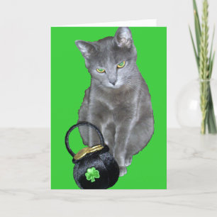 St. Patrick's Day kitten card