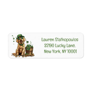 St. Patrick's Day Labrador Retriever Dog