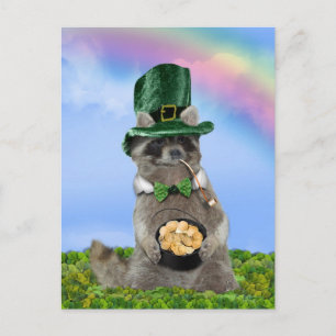 St Patrick's Day - Lucky Racoon Postcard