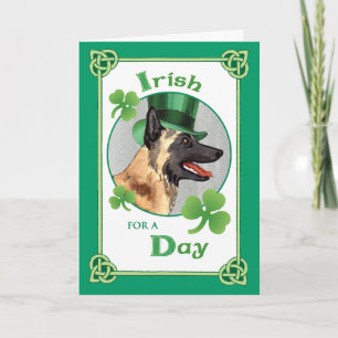 St. Patrick's Day Malinois Card