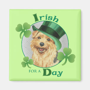 St. Patrick's Day Norfolk Terrier Magnet