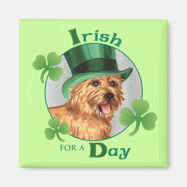 St. Patrick's Day Norwich Terrier Magnet (Front)