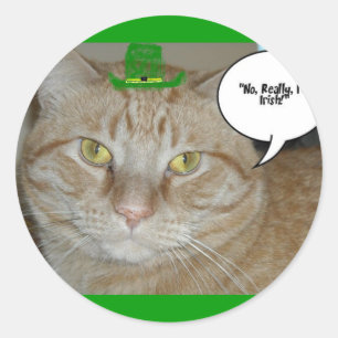 St. Patrick's Day Orange Tabby Cat Classic Round Sticker