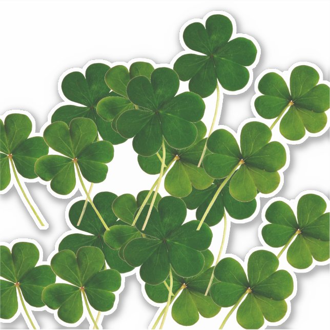 St Patrick's Day Party Shamrock Leaf Green 2020 (Front)