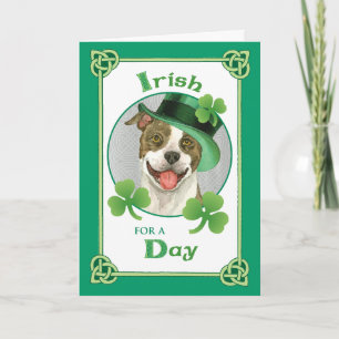 St. Patrick's Day Pit Bull Card