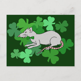 St. Patrick's Day Rat Postcard