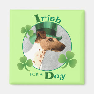 St. Patrick's Day Smooth Fox Terrier Magnet
