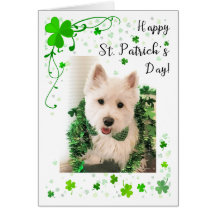 St. Patrick's Day West Highland Terrier