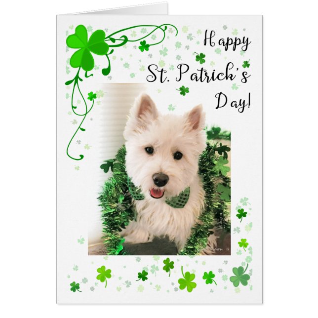St. Patrick's Day West Highland Terrier (Front)
