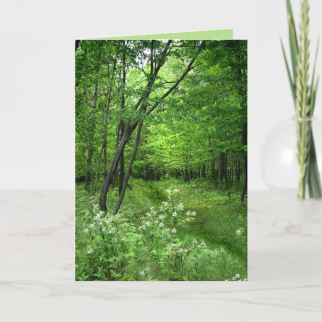 St. Patrick's Day: Woodland Path Card (Front)