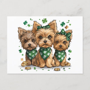 St. Patrick's Day Yorkshire Terrier Dogs Postcard