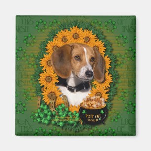 St Patricks - Pot of Gold - Beagle Magnet