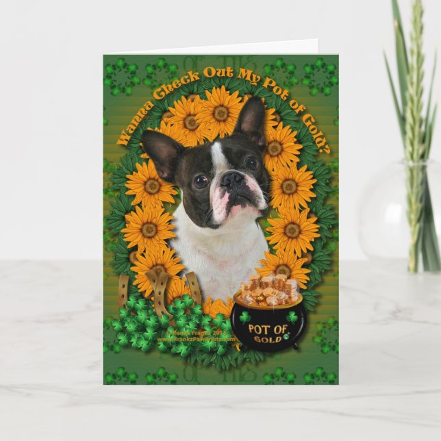 St Patricks - Pot of Gold - Boston Terrier Card (Front)