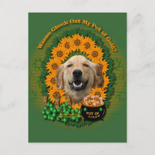 St Patricks - Pot of Gold -Golden Retriever Mickey Postcard