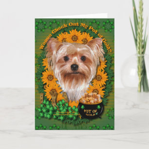 St Patricks - Pot of Gold - Yorkshire Terrier Card