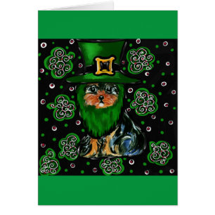 St. Patty Yorkie Poo