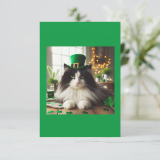 St. Patty's day Cat