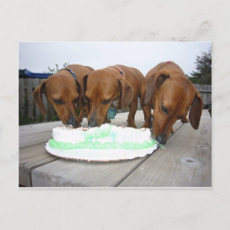 St Pattys Day Postcard