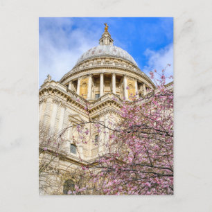St.Paul's Cathedral London, UK Postcard