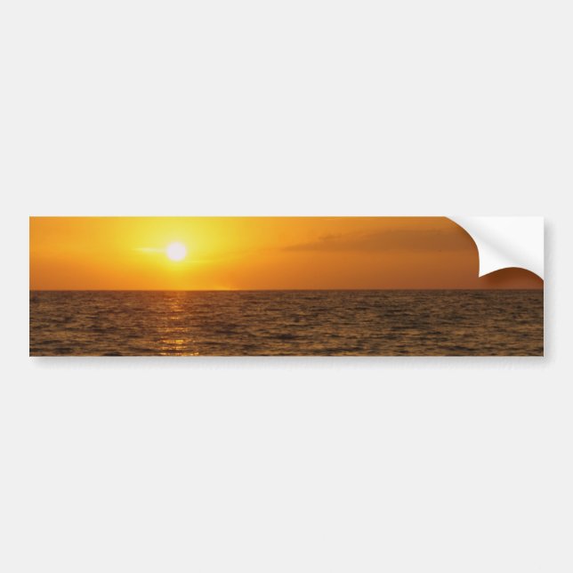 St. Pete Sunset Bumper Sticker (Front)
