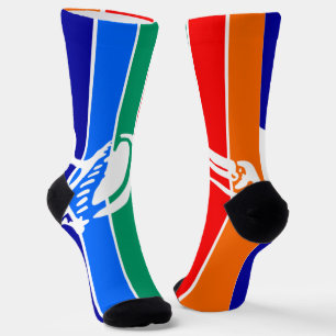 St.Petersburg (Florida) city flag Socks