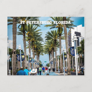 St Petersburg,Florida  Palm Trees Postcard