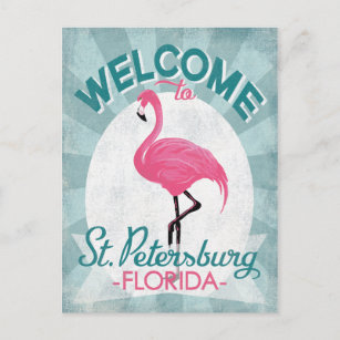 St Petersburg Florida Pink Flamingo Retro Postcard