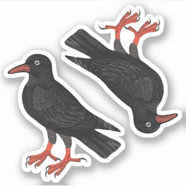 St. Piran's Day / St. Thomas Becket Choughs (fL) - (Front)