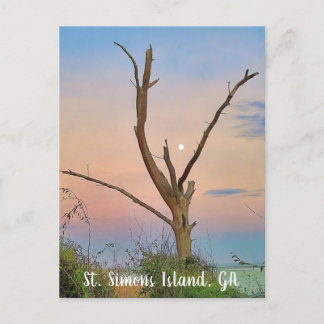 St. Simons Island, GA East Beach Sunset Postcard