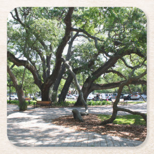 St Simons Island GA Wandering Oak Photo Square Paper Coaster