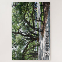 St Simons Island Live Oak Trees