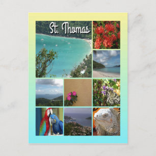 St. Thomas - Scenic Photo Collage 6115 Postcard