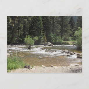 St Vrain River, Colorado Postcard