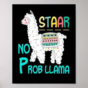 STAAR Test No Prob Llama Teacher Exam Testing Poster