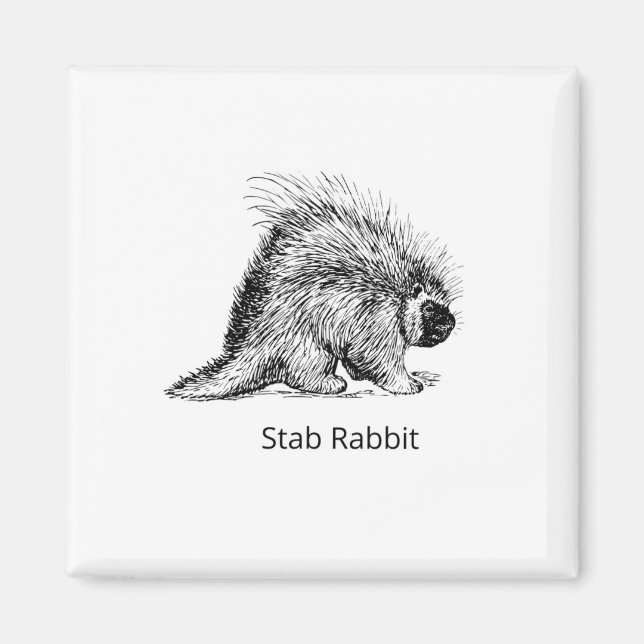 Stab Rabbit Porcupine Magnet (Front)