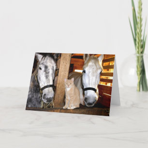 "Stable Buds" Greeting Card