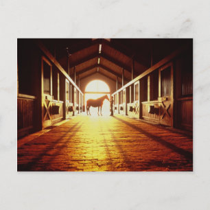 Stable-Hands Postcard