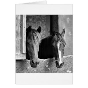Stable mates