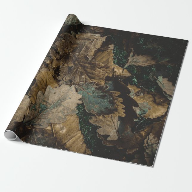 Stack of assorted leaves photo wrapping paper (Unrolled)