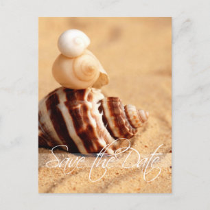 Stack of Conch Shells Save the Date Postcard